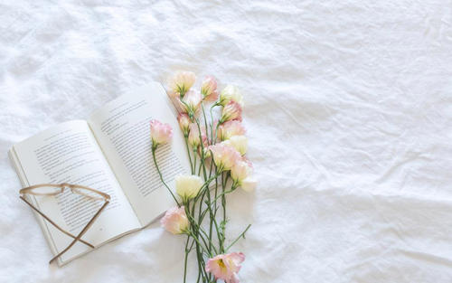 湖北成人高考心理学考试科目有哪些？