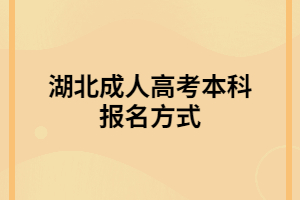 湖北成人高考本科报名方式
