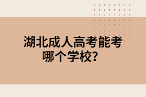 湖北成人高考能考哪个学校？