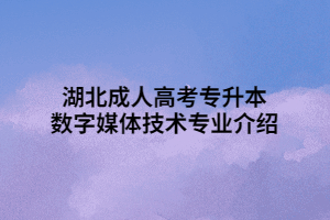 湖北成人高考专升本数字媒体技术专业介绍