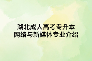 湖北成人高考专升本网络与新媒体专业介绍