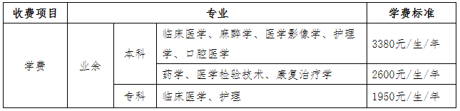 2021年收费项目及标准（以湖北省物价局收费文件为准）