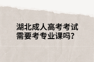 湖北成人高考考试需要考专业课吗？