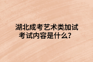 湖北成考艺术类加试考试内容是什么？