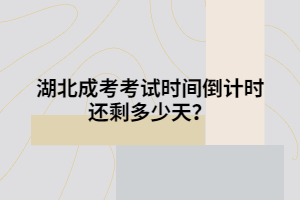 湖北成考考试时间倒计时还剩多少天？
