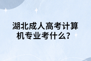 湖北成人高考计算机专业考什么？