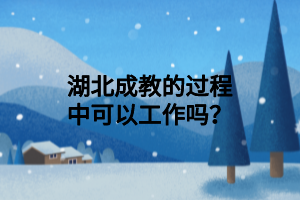 湖北成教的过程中可以工作吗？