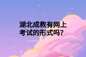 湖北成教有网上考试的形式吗？