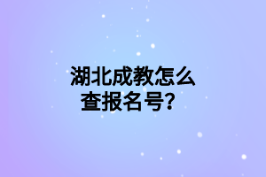 湖北成教怎么查报名号？