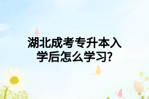 湖北成考专升本入学后怎么学习?