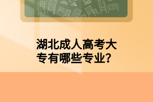 湖北成人高考大专有哪些专业？