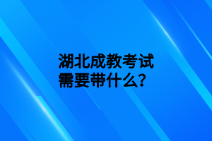 湖北成教考试需要带什么？