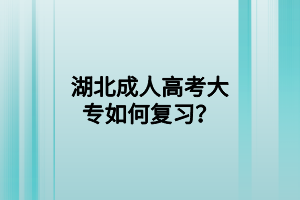 湖北成人高考大专如何复习？