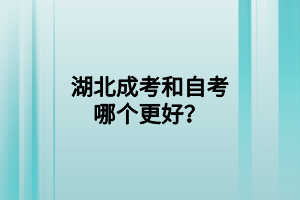湖北成考和自考哪个更好？