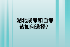 <b>湖北成考和自考该如何选择？</b>
