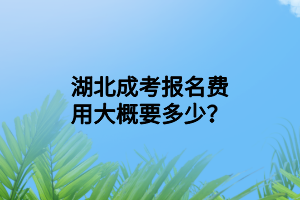 湖北成考报名费用大概要多少？