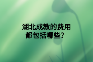 湖北成教的费用都包括哪些？