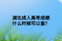 湖北成人高考成绩什么时候可以查？