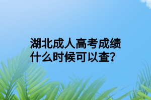 湖北成人高考成绩什么时候可以查？