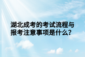 湖北成考的考试流程与报考注意事项是什么？