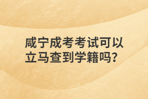 咸宁成考考试可以立马查到学籍吗？