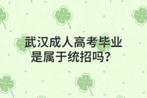 武汉成人高考毕业是属于统招吗？