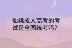 仙桃成人高考的考试是全国统考吗？