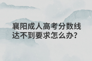 襄阳成人高考分数线达不到要求怎么办？