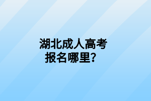 湖北成人高考报名哪里？