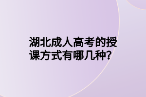 湖北成人高考可以进行补报名吗？