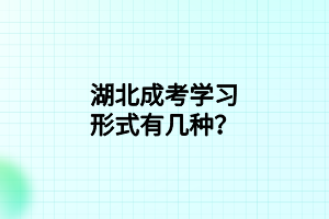 湖北成考学习形式有几种？