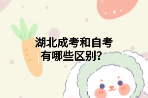 湖北成考和自考有哪些区别？