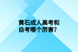黄石成人高考和自考哪个厉害？