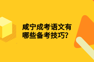 咸宁成考语文有哪些备考技巧？