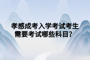 孝感成考入学考试考生需要考试哪些科目？