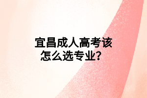 宜昌成人高考该怎么选专业？