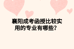 襄阳成考函授比较实用的专业有哪些？