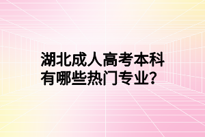 湖北成人高考本科有哪些热门专业？