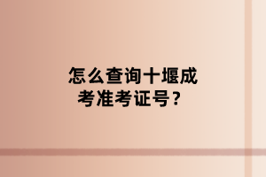 怎么查询十堰成考准考证号？