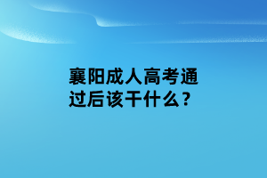 襄阳成人高考通过后该干什么？