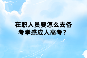 在职人员要怎么去备考孝感成人高考？