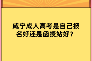 咸宁成人高考是自己报名好还是函授站好？