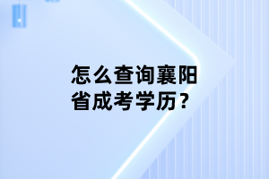 怎么查询襄阳省成考学历？
