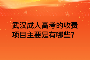 武汉成人高考的收费项目主要是有哪些？