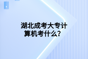湖北成考大专计算机考什么？