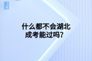 什么都不会湖北成考能过吗？