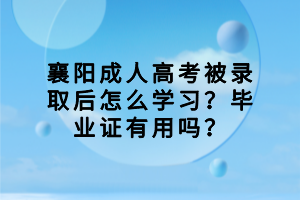 襄阳成人高考被录取后怎么学习？毕业证有用吗？