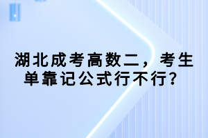 湖北成考高数二，考生单靠记公式行不行？