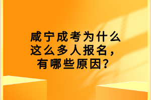 咸宁成考为什么这么多人报名，有哪些原因？