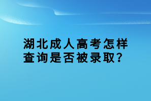 湖北成人高考怎样查询是否被录取？